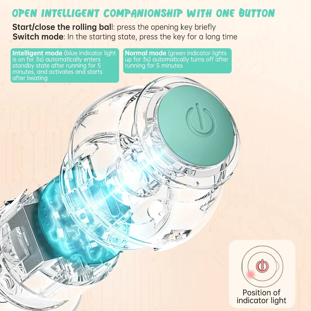 Electric Interactive Cat Ball - Automatic Rolling Toy for Indoor Play