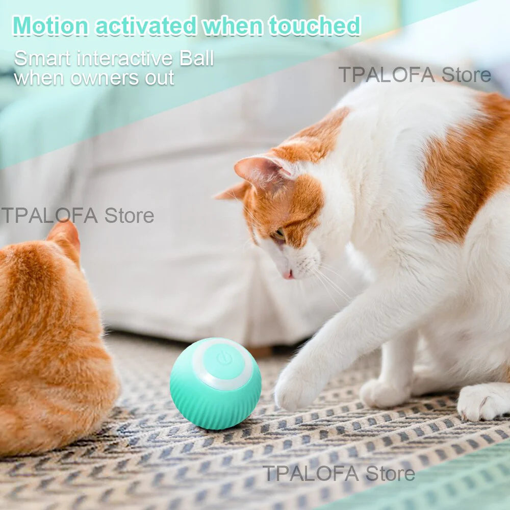 Electric Interactive Cat Ball - Automatic Rolling Toy for Indoor Play